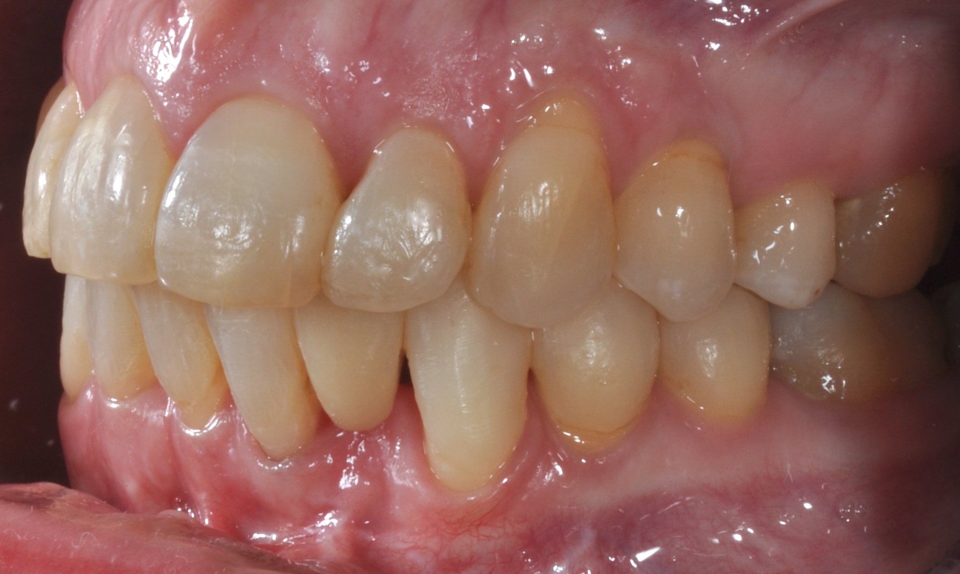 medcomtor_dsc_7438.jpg